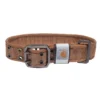 Breites Hundehalsband aus Nylon