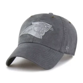 Carolina Panthers '47 gefärbt, aufgeräumt