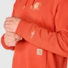 Force-Hoodie für Herren mit Logo und feuchtigkeitsableitender Funktion