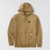Force-Hoodie für Herren mit Logo und feuchtigkeitsableitender Funktion