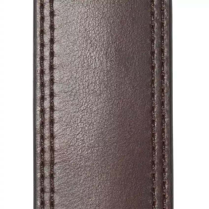 Hamilton-Gürtel
