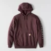 Herren-Hoodie mit Logo-Grafik, lockere Passform, mittleres Gewicht – Rain Defender Hoodies