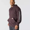 Herren-Hoodie mit Logo-Grafik, lockere Passform, mittleres Gewicht – Rain Defender Hoodies
