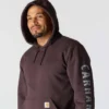 Herren-Hoodie mit Logo-Grafik, lockere Passform, mittleres Gewicht – Rain Defender Hoodies