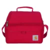 Isolierte Lunch-Kühltasche mit zwei Fächern für 12 Dosen