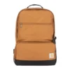 Isolierter Kühltaschen-Rucksack mit zwei Fächern