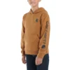 Langarm-Sweatshirt mit Aufdruck für Jungen (Kleinkinder/Kinder/Jugendliche)
