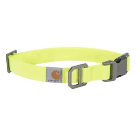 Nylon-Duck-Hundehalsband