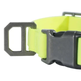Nylon-Duck-Hundehalsband
