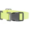 Nylon-Duck-Hundehalsband