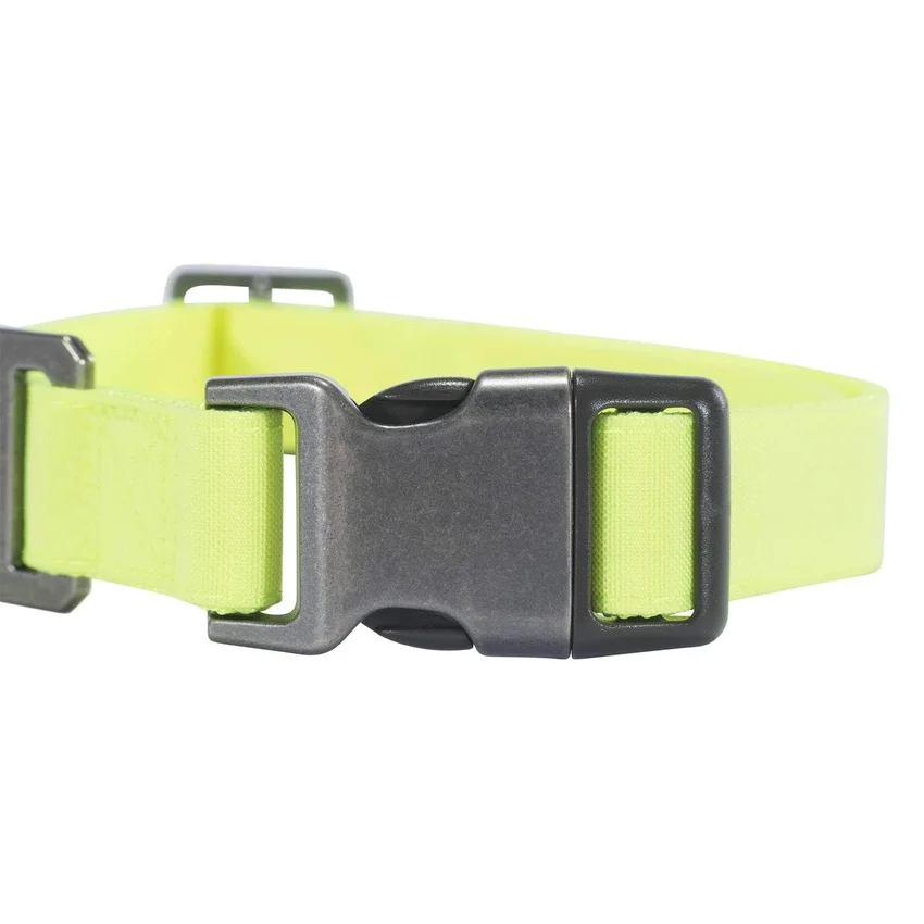 Nylon-Duck-Hundehalsband