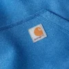 Paxton Herren-Hoodie, wasserabweisend, schweres Gewebe – carhartt Rain Defender Hoodies
